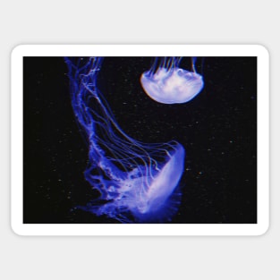 Glitched Space Jellyfish Sticker